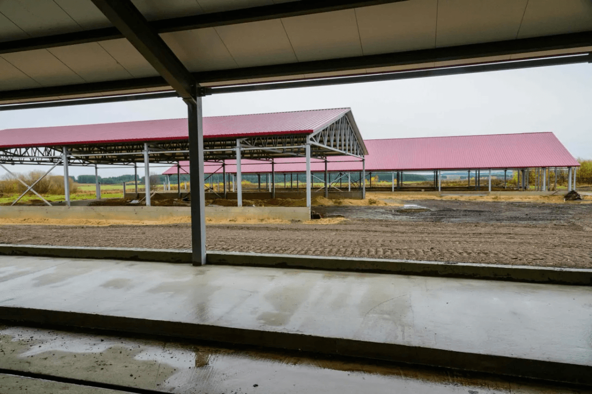 Животноводческий комплекс за 100 млн рублей построят в Куженерском районе