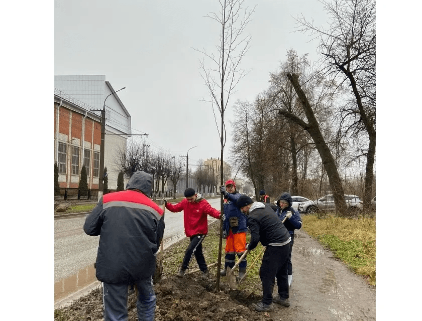 В Йошкар-Оле за неделю высадили больше ста новых деревьев