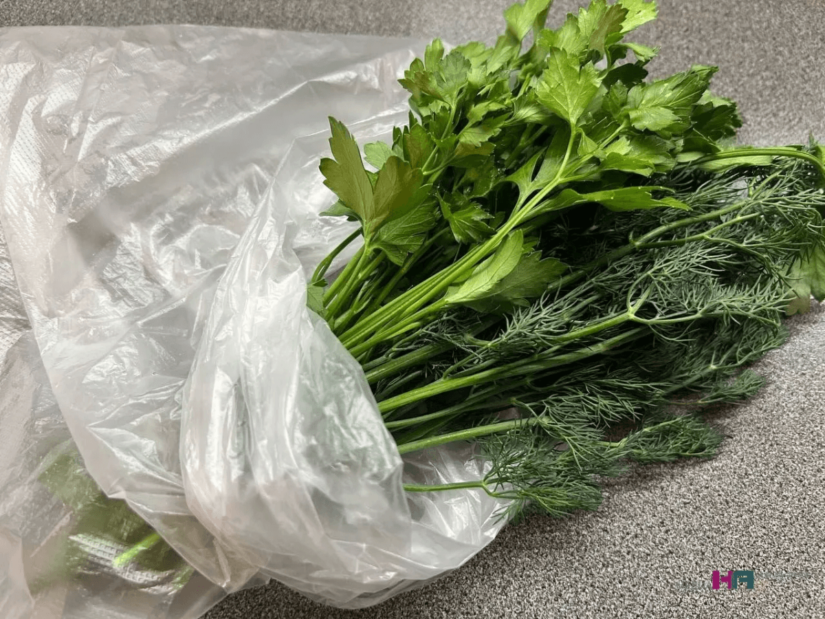 «Светофор» завалили дешёвой и сочной зеленью: но это еще не все — какие продукты больше всего берут покупатели