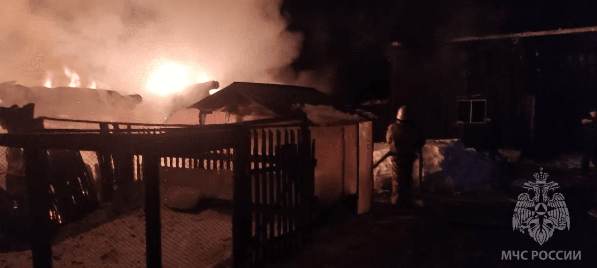 Лошадь и бык погибли при пожаре в хлеве под Мари-Туреком