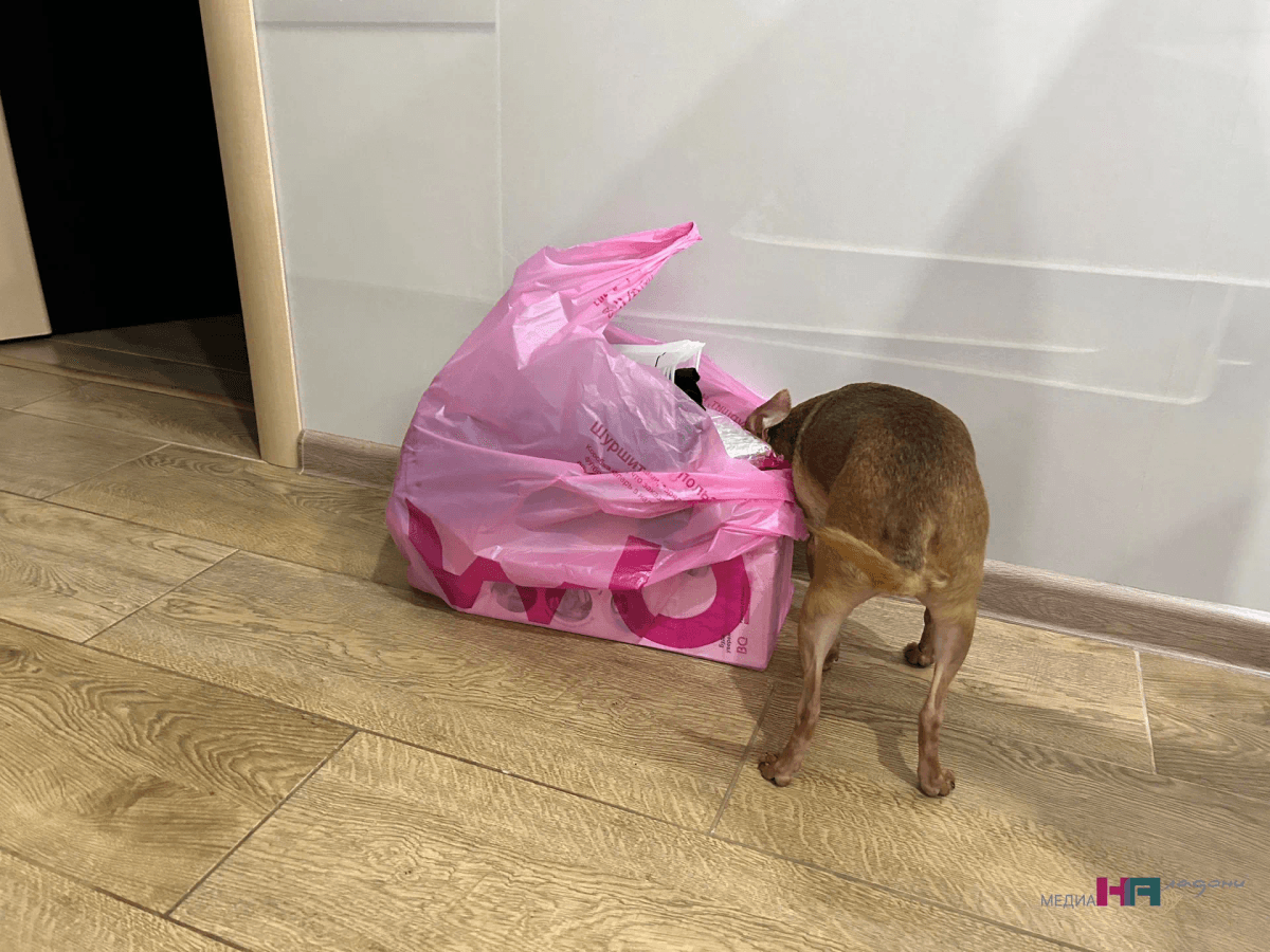 Люди сами «покупают» себе бедность: Эти 5 финансовых пустышек есть в каждом  доме