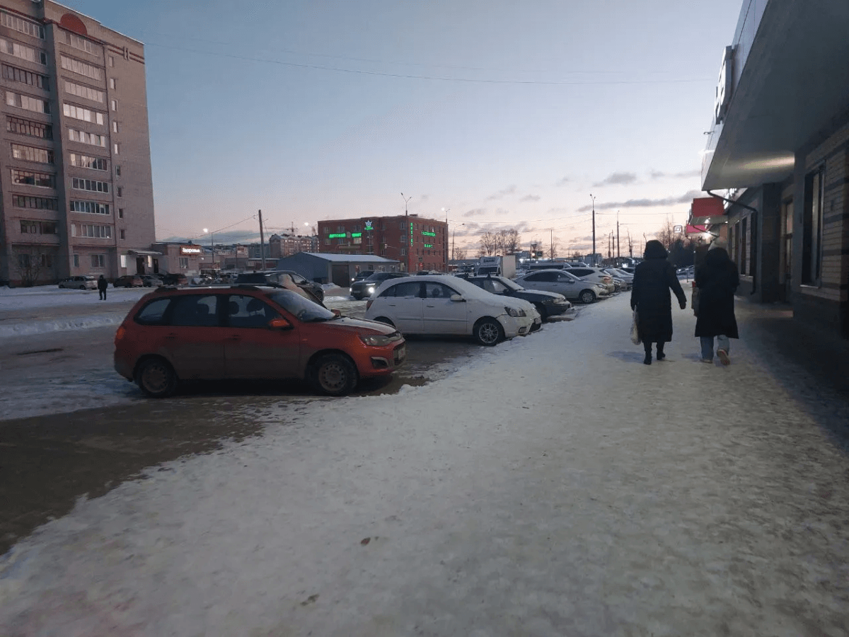 Отмена зимы: Вильфанд ошарашил аномальным теплом в январе