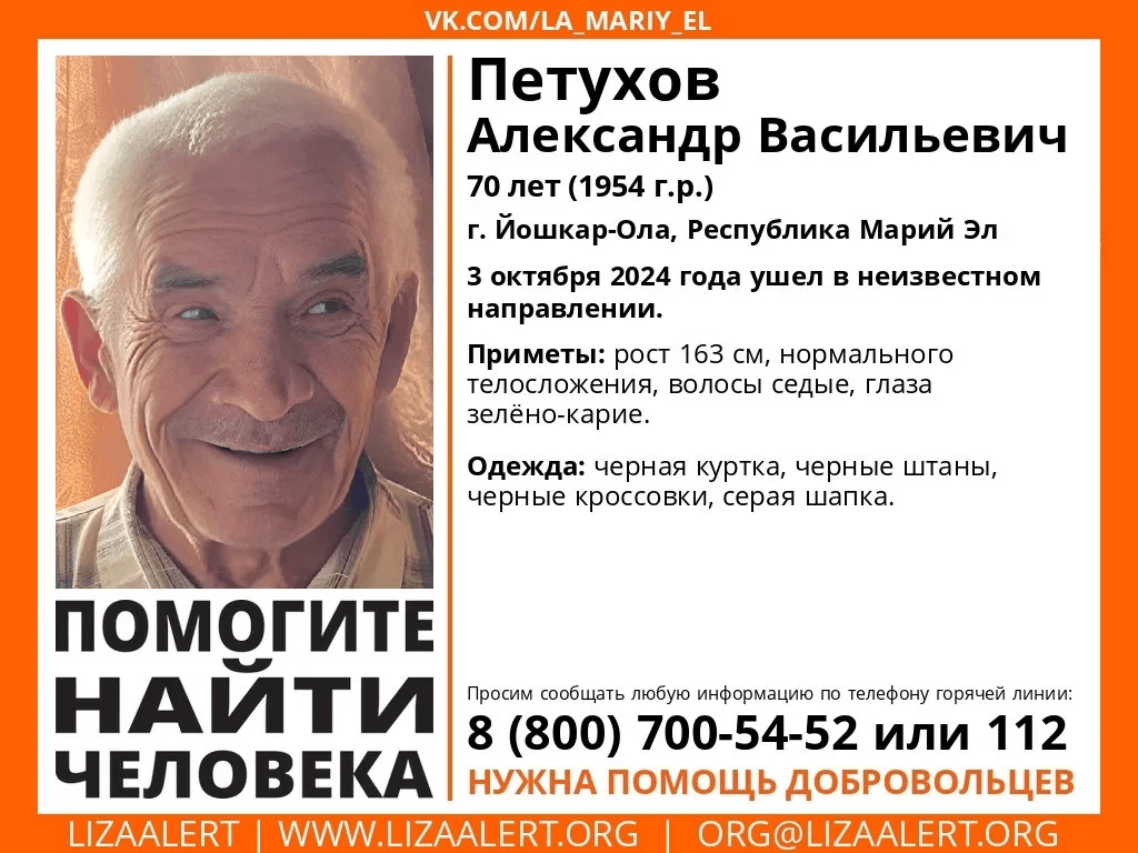 Волонтеры-поисковики Марий Эл разыскивают 70-летнего пенсионера