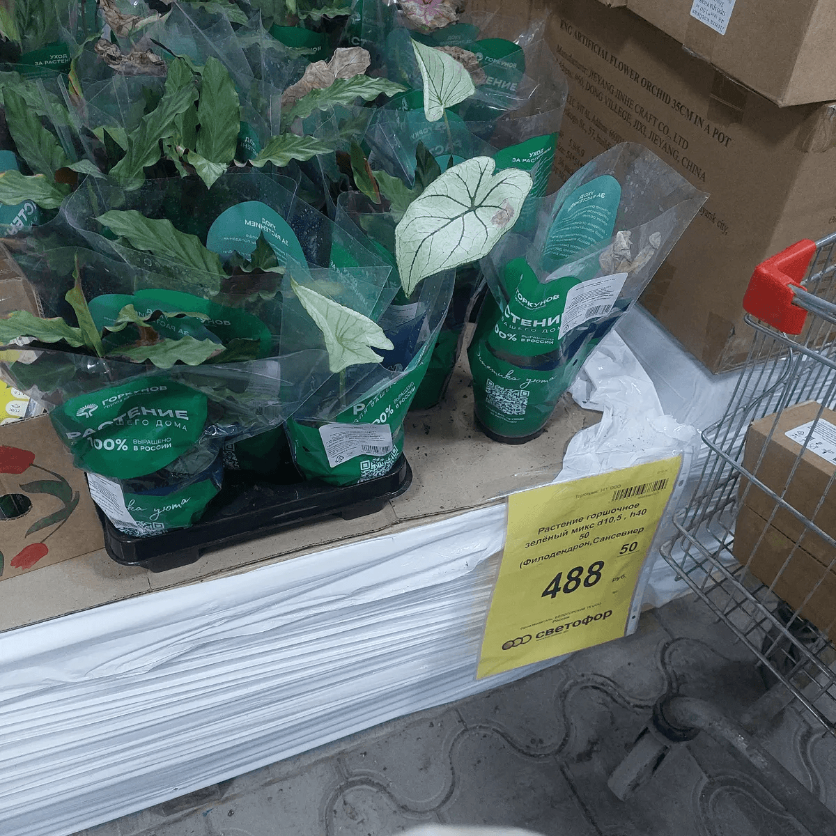 «Светофор» балует: завезли торты и много нового - что купить в магазине