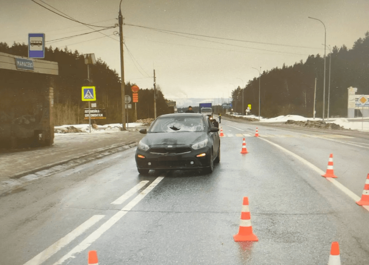 Суд рассмотрит дело водителя, сбившего насмерть пешехода на "зебре" в Волжске