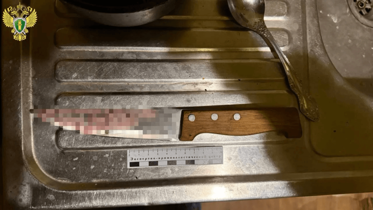 В Марий Эл ссора с бывшим мужем закончилась трагедией: женщина обвиняется в убийстве