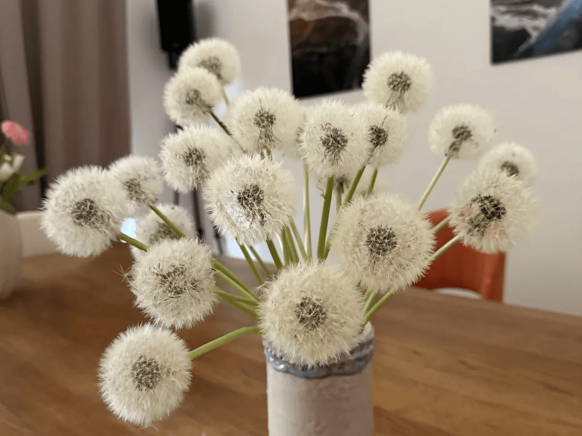 7 полезных вещей для дома, над которыми раньше смеялась, а теперь не могу без них