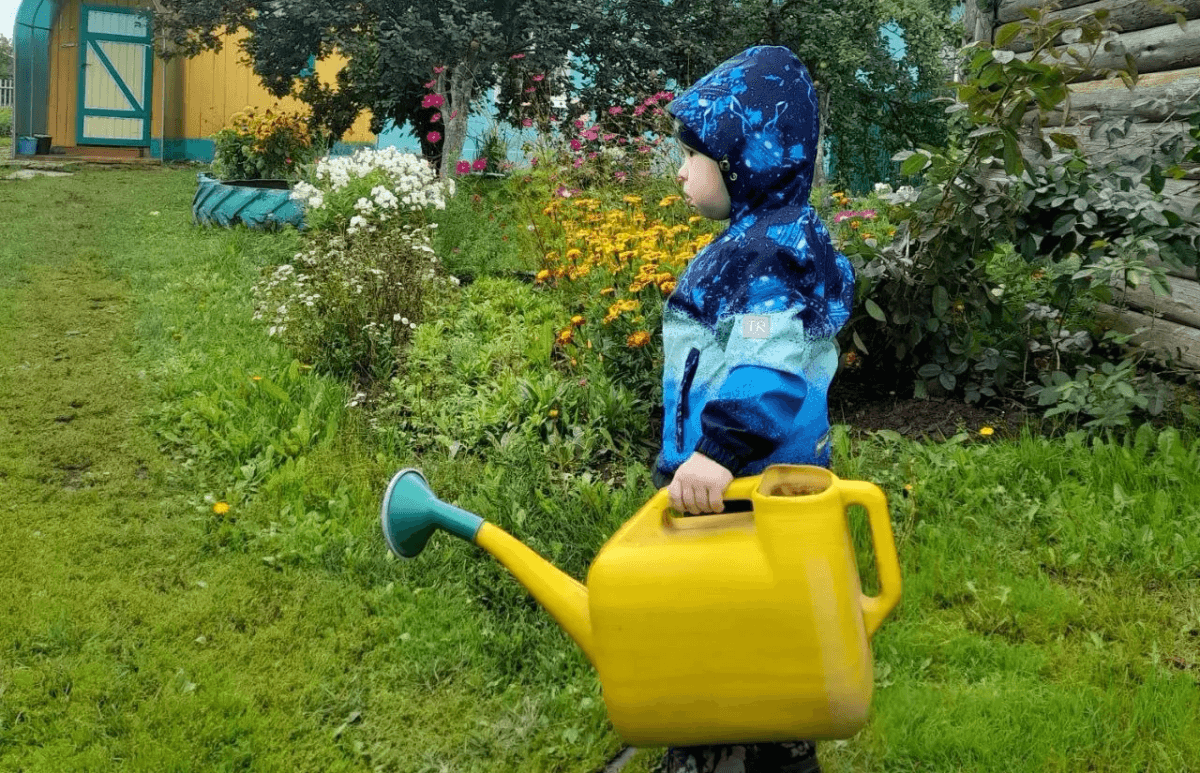 Поливаем огурцы содой: какой эффект дает пищевая сода, как и когда правильно вносить подкормку