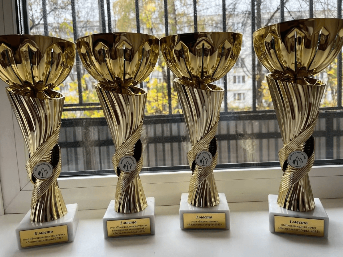 Марийские студенты стали лучшими на Всероссийском «Лесном многоборье»