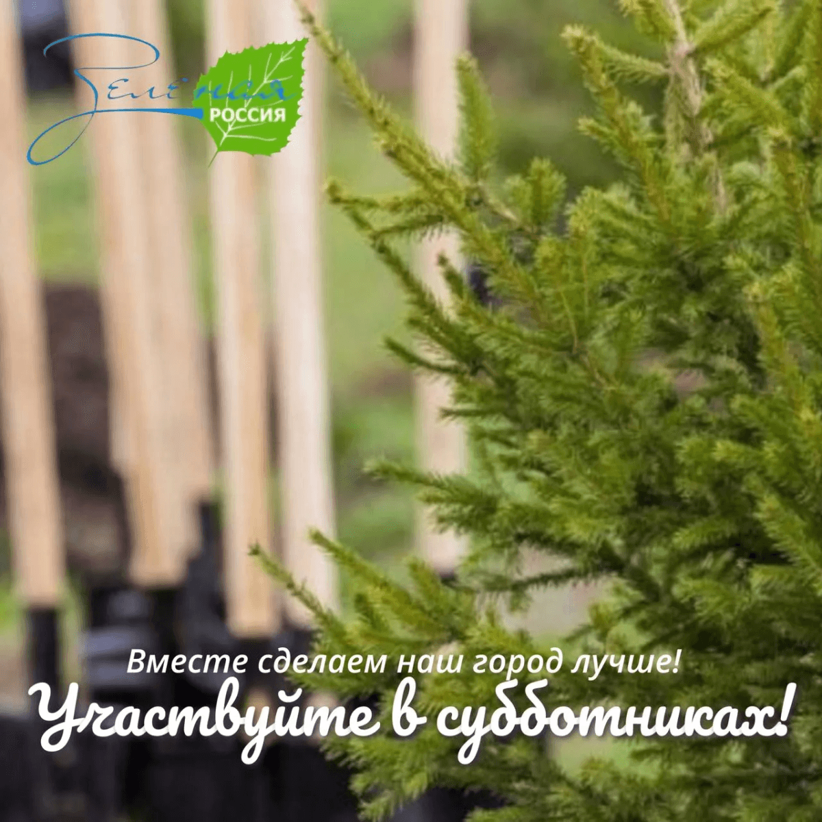 Врио мэра Антон Трудинов призвал йошкаролинцев присоединиться к «Зелёной России»