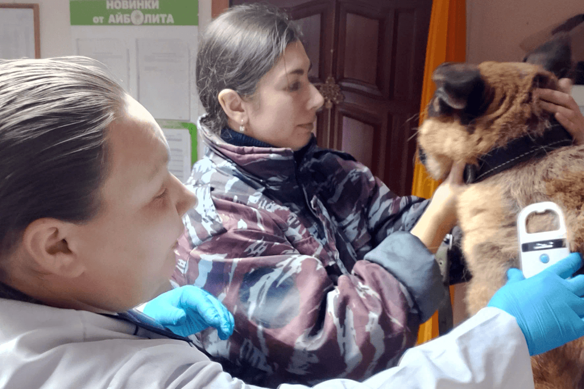 В Марий Эл провели досрочное чипирование 36 служебных собак