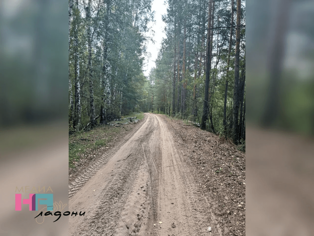 В Марий Эл открыт сезон охоты на бобра, лисиц и водоплавающую дичь