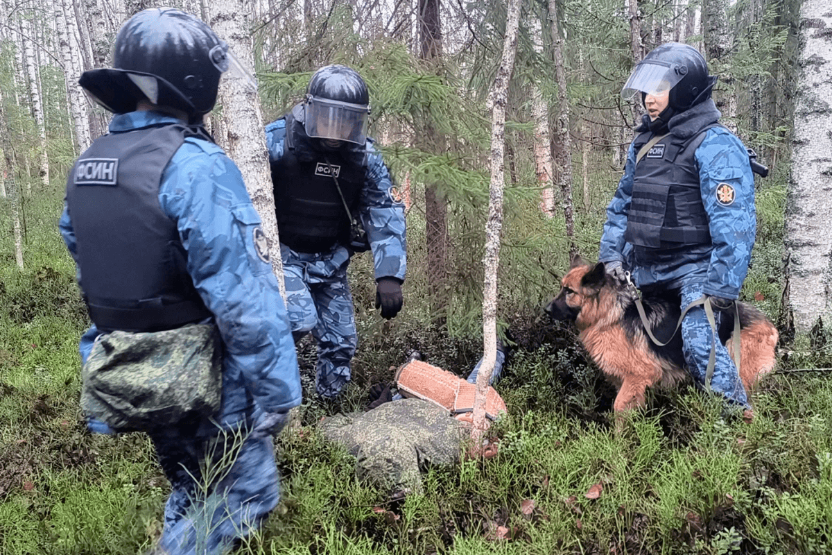 В Марий Эл более 80 сотрудников УФСИН поймали условно сбежавшего осужденного