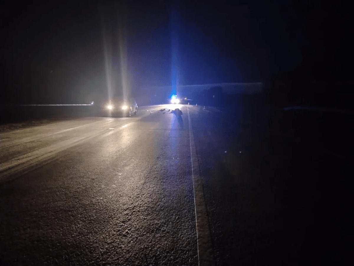 В Куженерском районе произошло смертельное ДТП: женщина погибла на месте