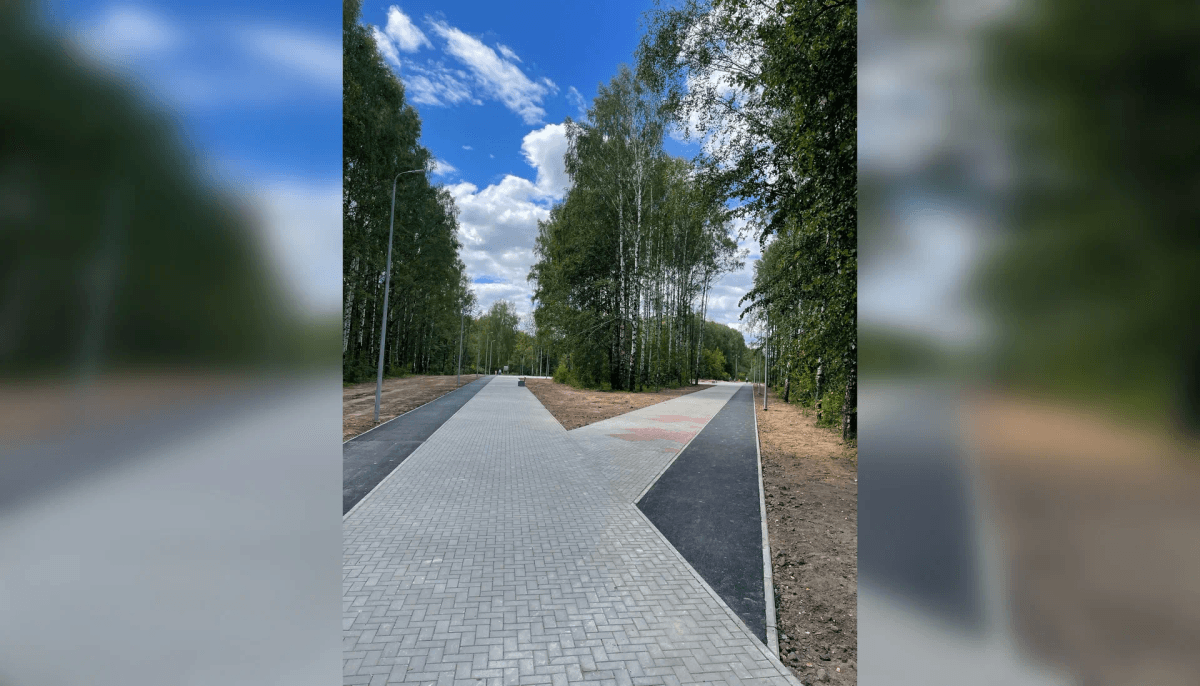 Открытие Тархановского парка в Йошкар-Оле пройдет с квестами, посадкой елей и концертом