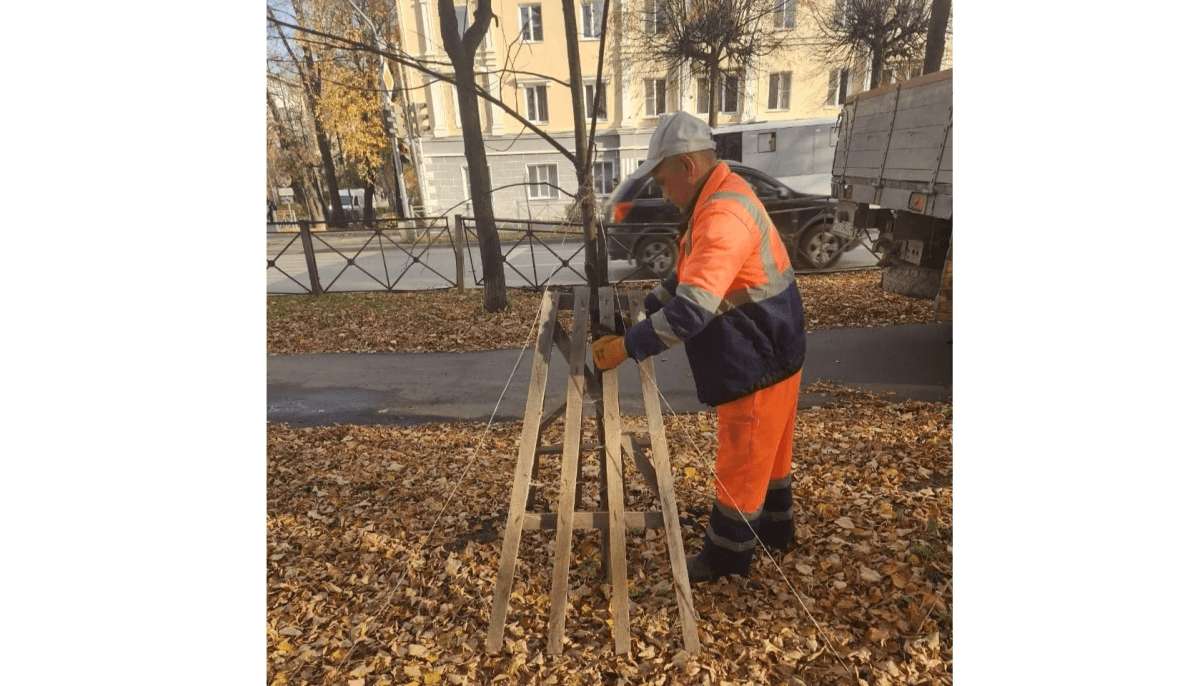 Молодые деревья Йошкар-Олы готовят к первой зиме после масштабного озеленения