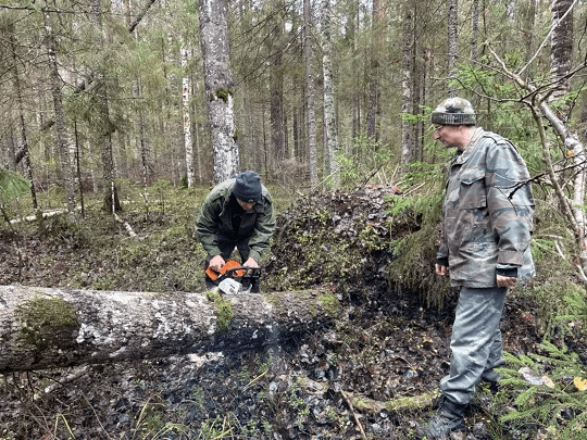 Сотрудники заповедника «Большая Кокшага» в Марий Эл устраняют последствия сильного ветра