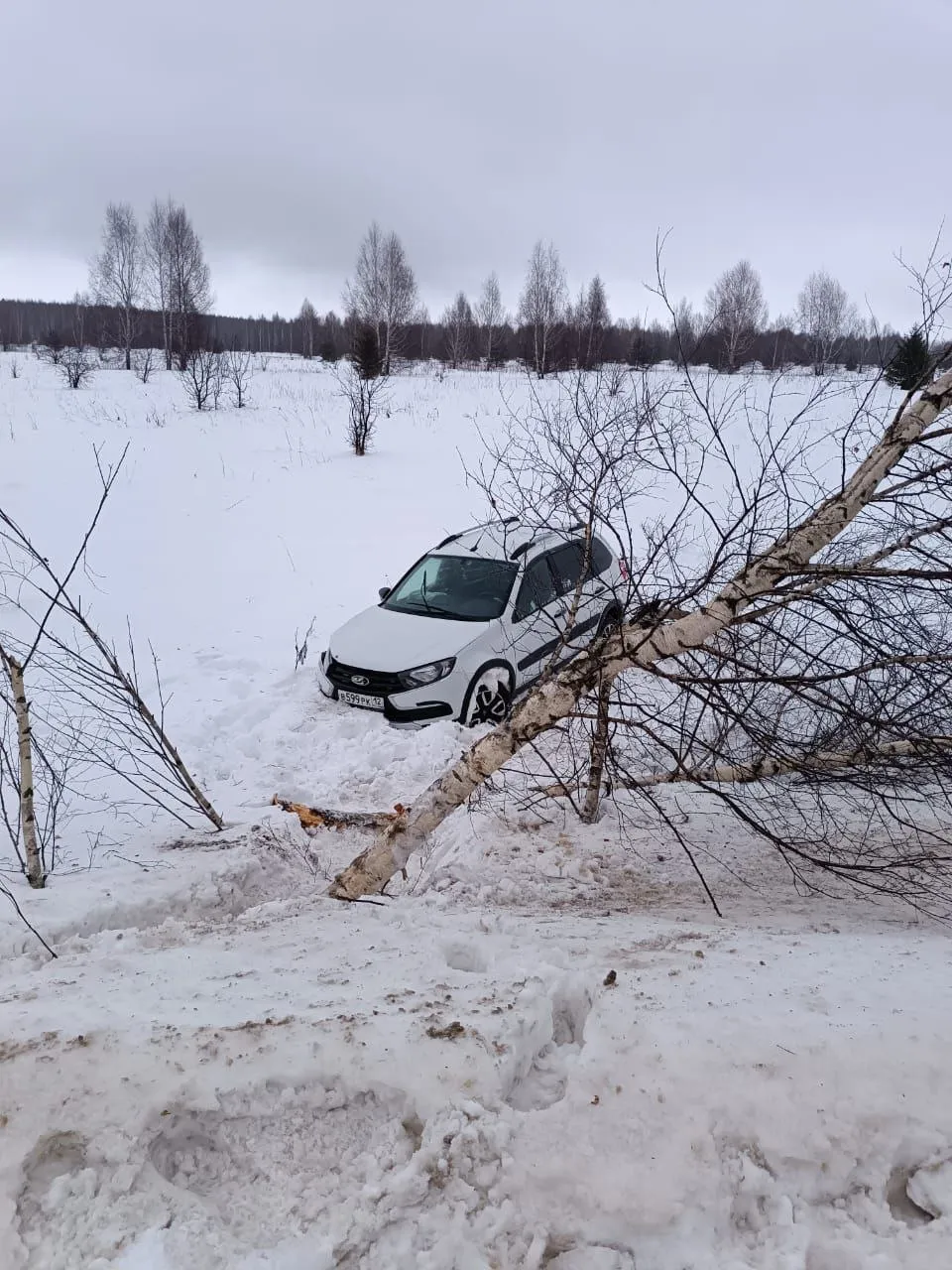 Водитель Лада Гранта стел с дороги на трассе "Сернур - Новый Торъял" 