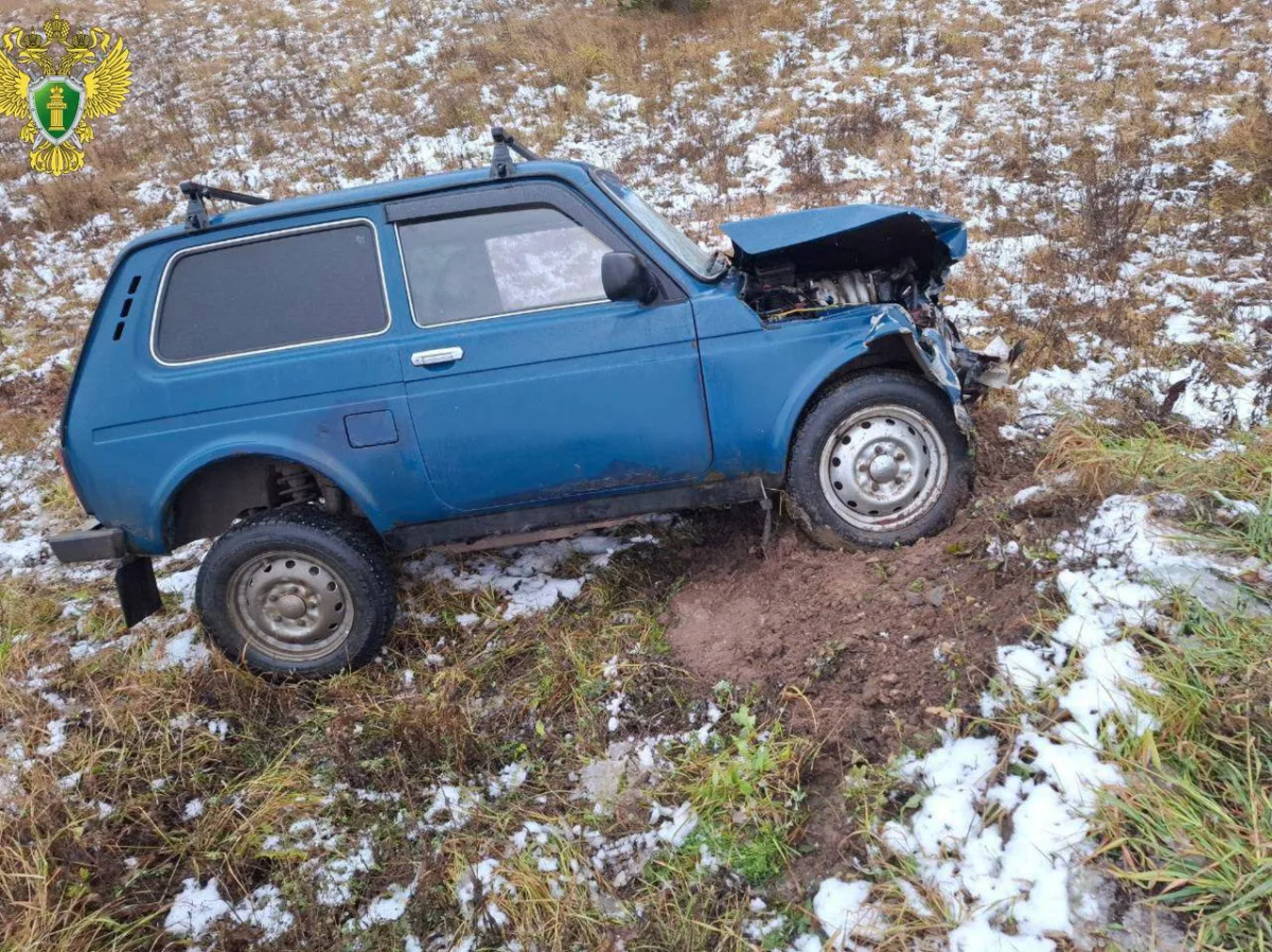 Четыре человека пострадали в ДТП Лада Калина и Нива