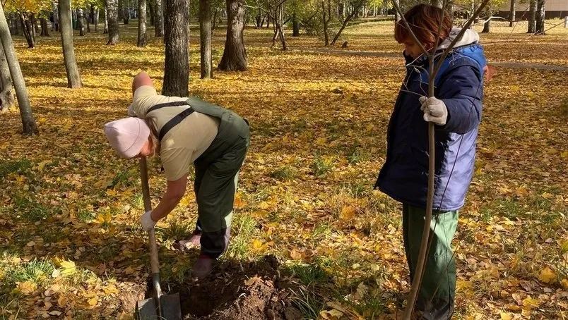 В Центральном парке Йошкар-Олы высадили 85 деревьев и кустарников