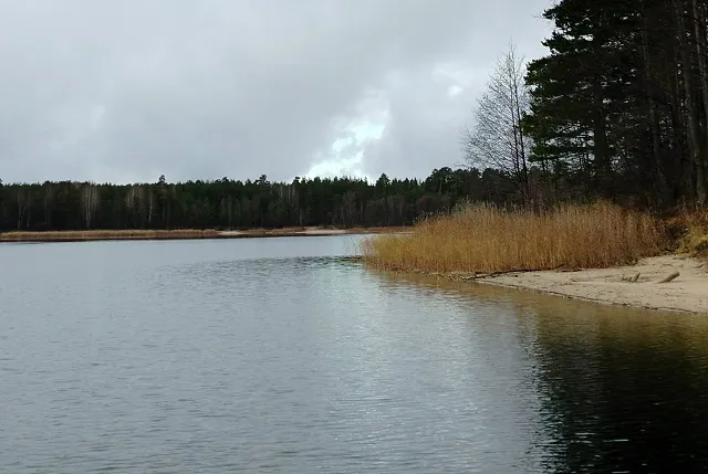 Минприроды Марий Эл: обмеление озера Яльчик — следствие маловодного периода